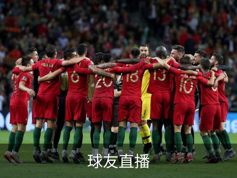 球友直播简介